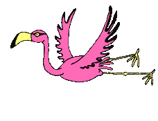 Animationer Dyr Fugle2