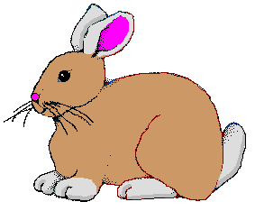 Animationer Dyr Kaniner 2