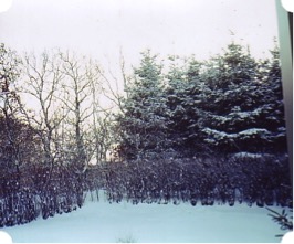 Vinter 2006 2