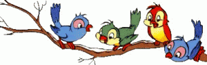 Animationer Dyr Fugle1