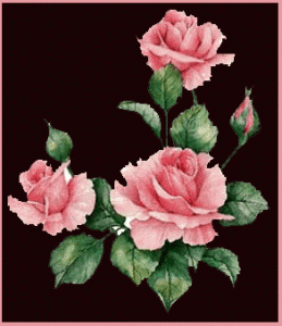 Postkort Blomster XL 13