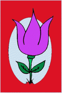 Postkort Blomster XL 22
